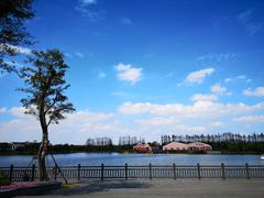 -上海长兴岛郊野公园