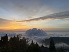 -武陵山森林公园