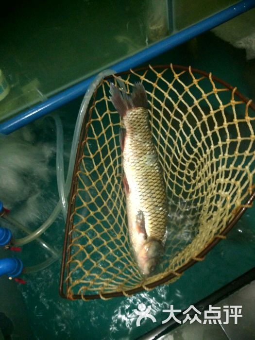 安康瀛湖富硒鱼庄图片 - 第1张