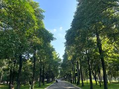 -海珠湖公园