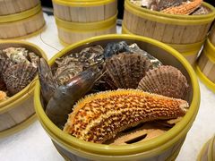 -威海蓝海御华大饭店·蓝钻美食自助百汇