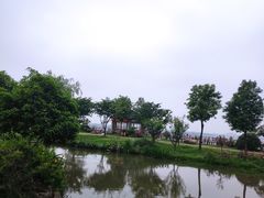 -鹅湖玫瑰文化园