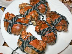 -沈阳和平艾美酒店新食谱西餐厅