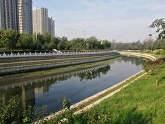 -东坝千亩湖公园