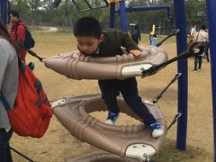 -上海长兴岛郊野公园