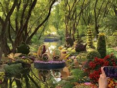 -上海共青森林公园