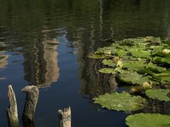 -前关湿地公园