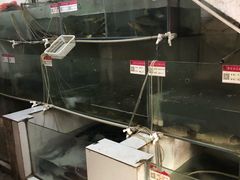 -苗家恒灵酸汤鱼-跳水牛肉连锁店(凯里总店)