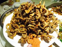 干炸小蘑菇-金手勺东北菜馆(大屯北路店)