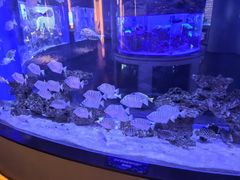 -上和臻品中国菜(花园街店)