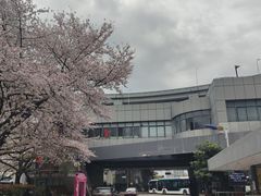 -南浦大桥长途旅游客运站