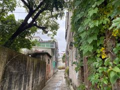 -三溪村