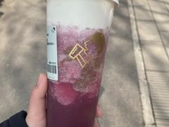 多肉葡萄-喜茶(永旺梦乐城店)