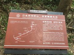 -杭州黄龙洞