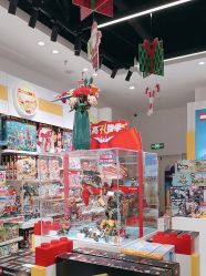 -乐高授权专卖店(中关村领展店)