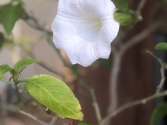 -梵几(东信·和创园店)