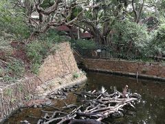 -九龙公园