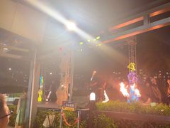 -渔家火锅·海鲜自助餐·演艺(亚龙湾天域酒店)
