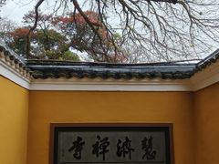 -普陀山慧济禅寺