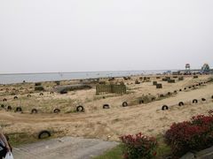-碧海金沙
