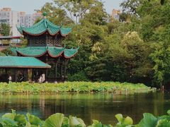 -桂湖森林公园
