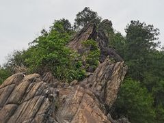 -南山植物园