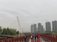 -蒲河岛湿地公园