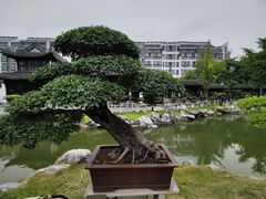 -泰州凤城河风景区-泰山公园