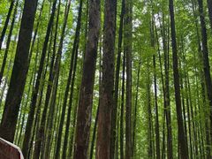 -山王坪喀斯特国家生态公园