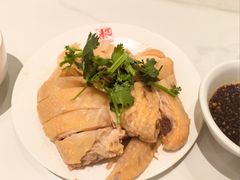 三黄鸡-泰煌鸡·上海白斩鸡·沪菜(平利店)