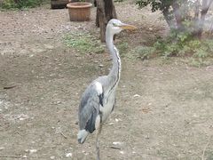 -济南野生动物世界