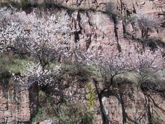 -芦芽山旅游度假区