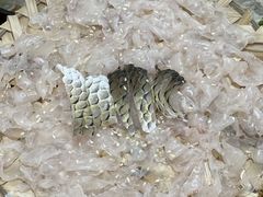 -官塘陈记鱼生·潮汕砂锅粥·牛肉火锅(潮枫路总店)