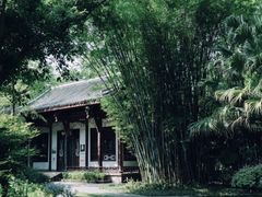 -望江楼公园