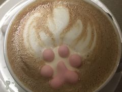 -猫色咖啡·猫咖