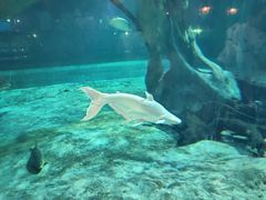 -华夏文旅海洋公园