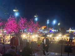 -东南亚风情赶摆街夜市