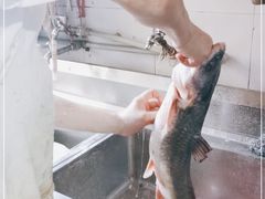 -春涛餐馆(下坝店)