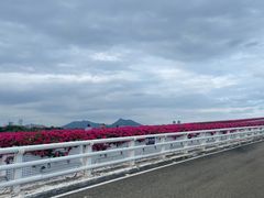 -厦门园林博览苑