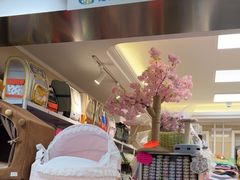 -北京观赏动物医院·24小时大型综合·猫专科·异宠专科
