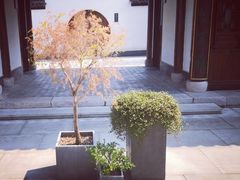 -帐篷客·溪龙茶谷度假酒店