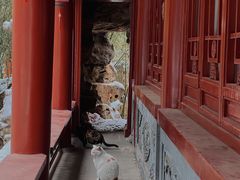 -宣武艺园