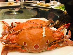 -汇景希尔顿逸林酒店·悦轩中餐厅