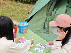 -王借岗森林公园