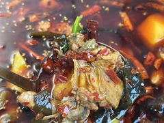 -晓彭肥肠鸡·泡椒鸡火锅(水木天地店)