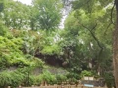 -白沙古井