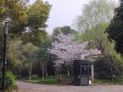 -运河游船(武林门码头)