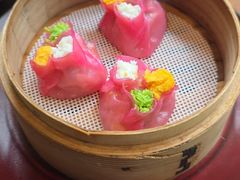 -随堂里