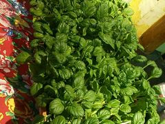 -山西会馆·晋菜·晋商宴·牌匾博物馆(胜利东街店)