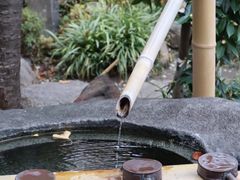 -难波八坂神社